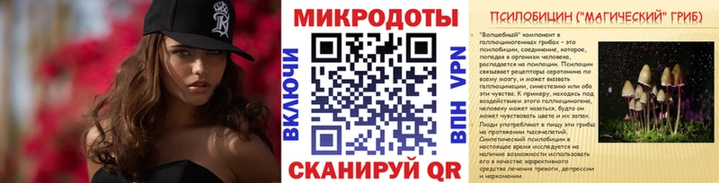 Псилоцибиновые грибы GOLDEN TEACHER  Купить закладки  Тетюши 